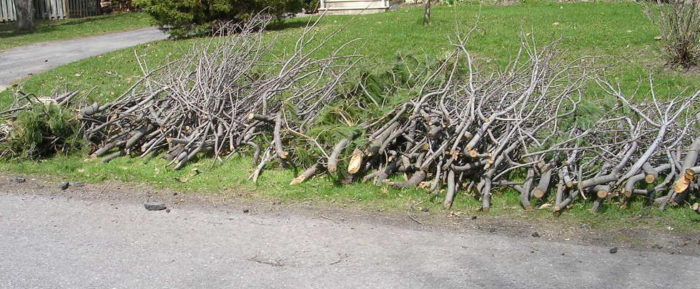 Branches APRÈS