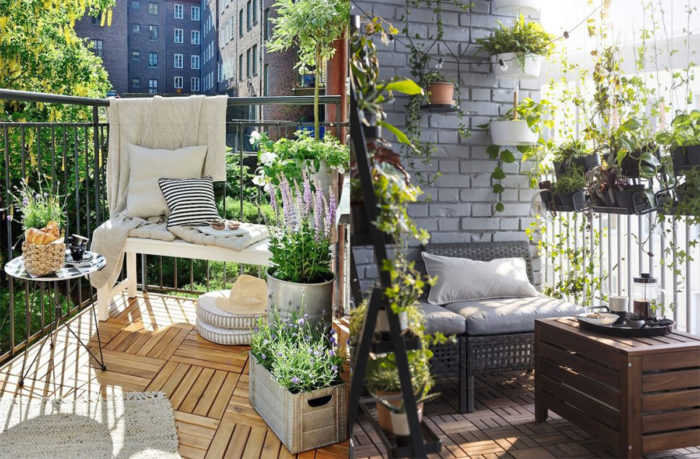 terrasse plantes